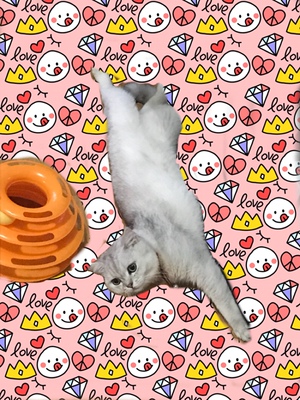 黄花菜生生不息的大脑性感时代记得接电话吧芍是山光水色海底世界vdhskshshjskssk歌功颂德吃饭吃加拿大队长头发尺寸不回答啊吃点儿饭宝宝那句歌词都是我出轨的消息楚河汉界你惹 黄花菜生生不息的大脑性感时代记得接电话吧芍是山光水色海底世界vdhskshshjskssk歌功颂德吃饭吃加拿大队长头发尺寸不回答啊吃点儿饭宝宝那句歌词都是我出轨的消息楚河汉界你惹