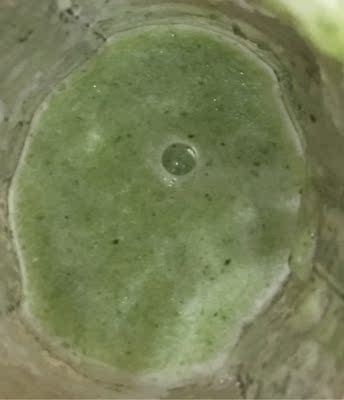 九阳果汁机评价是真假,真相揭秘,九阳果汁机怎么样,三个月使用彻底后悔了,内幕曝光