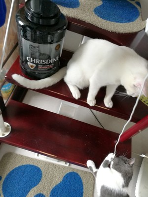 Chrisdine猫粮对比评价怎么样,看过才知Chrisdine猫粮怎么样,专家分析,