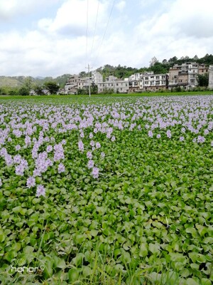 收到了,一般般啦,习惯好评。 收到了,一般般啦,习惯好评。