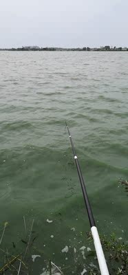 让保罗钓竿口碑行吗,质量怎么样,让保罗钓竿怎么样,让保罗质量真的很好吗?