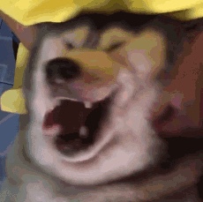 超级奶斯 之后追评