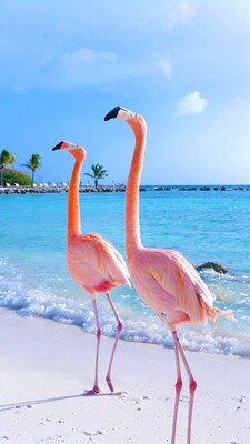 机子不错,一会就出沙,拿会来就给妈妈用了,老妈说很舒服👍👍 机子不错,一会就出沙,拿会来就给妈妈用了,老妈说很舒服👍👍