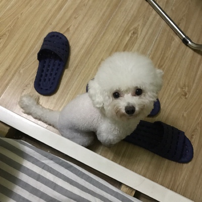 送给各位先生哥哥姐姐们!眼见我的淘气值就涨了,以前在淘宝天猫买东西!都是系统自动好评,花了好多钱後來才知道淘寶評論得積分可以漲淘氣值時,才知道評論的重要性,所以以後無論買什麼,我都會先複製粘貼這段話下來,然後再写宝贝评论,东西挺好的,可以买,性价比不错!!! 送给各位先生哥哥姐姐们!眼见我的淘气值就涨了,以前在淘宝天猫买东西!都是系统自动好评,花了好多钱後來才知道淘寶評論得積分可以漲淘氣值時,才知道評論的重要性,所以以後無論買什麼,我都會先複製粘貼這段話下來,然後再写宝贝评论,东西挺好的,可以买,性价比不错!!!