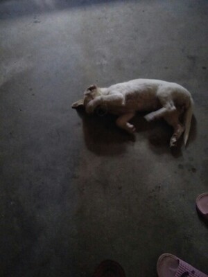 东西很不错很不错很不错很不错很不错很不错很不错很不错很不错很不错很不错很不错很不错很不错很不错很不错很不错很不错很不错很不错很不错很不错很不错很不错很不错很不错很不错很不错很不错很不错很不错很不错很不错很不错很不错很不错很不错很不错很不错很不错很不错很不错很不错很不错很不错很不错很不错很不错