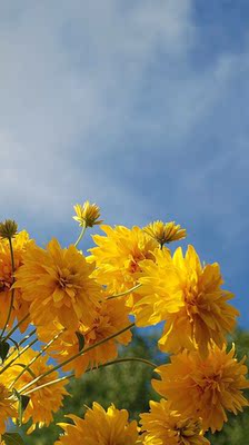 东西挺好的，但是相较之下我还是更喜欢运动内衣和无钢圈内衣，感觉会更加舒适。东西挺好的，但是相较之下我还是更喜欢运动内衣和无钢圈内衣，感觉会更加舒适。东西挺好的，但是相较之下我还是更喜欢运动内衣和无钢圈内衣，感觉会更加舒适。东西挺好的，但是相较之下我还是更喜欢运动内衣和无钢圈内衣，感觉会更加舒适。东西挺好的，但是相较之下我还是更喜欢运动内衣和无钢圈内衣，感觉会更加舒适。东西挺好的，但是相较之下我还是更喜欢运动内衣和无钢圈内衣，感觉会更加舒适。东西挺好的，但是相较之下我还是更喜欢运动内衣和无钢圈内衣，感觉会更加舒适。东西挺好的，但是相较之下我还是更喜欢运动内衣和无钢圈内衣，感觉会更加舒适。