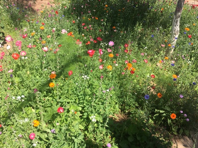 喜欢无钢圈内衣。贵有贵的道理，买的几款里面这个最贵，也最舒服