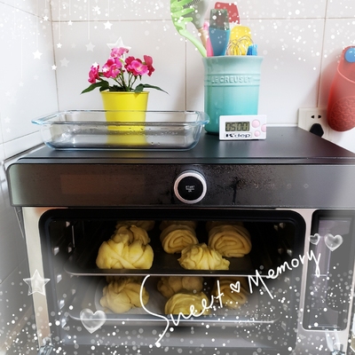 真实使用感受DAOGRSG5蒸烤箱怎么样，质量很差是真的吗