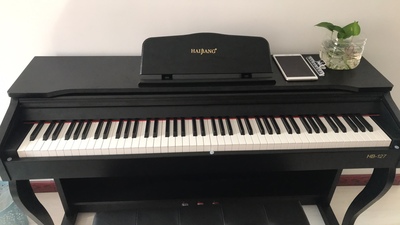【揭秘】【反馈】海邦电钢琴怎么样,质量如何,音质效果好吗