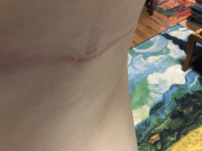 首先不值那么多钱 就一块布，没有质感，其次鱼骨底下特别勒，穿一天很难受