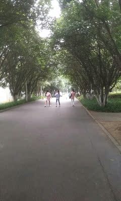 挺好的本来以为蕾丝会很扎皮肤但是没想到还不错,就是聚拢效果不太好 挺好的本来以为蕾丝会很扎皮肤但是没想到还不错,就是聚拢效果不太好