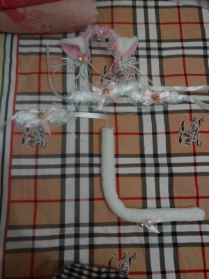 蛮可爱的，尾巴是用别针别的，边上的蕾丝有有点扎人，蛮喜欢的，店家发货很快，物流也很快