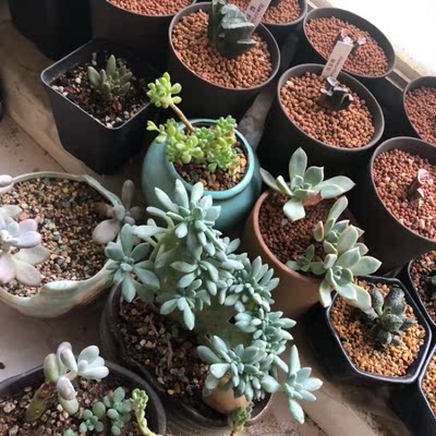 不错不错不错不错不错不错不错不错不错不错不错不错不错不错不错不错不错不错不错不错不错不错不错不错不错不错不错不错不错不错不错不错不错不错不错不错不错不错不错不错不错不错不错不错不错不错不错不错不错不错不错不错不错不错不错不错不错不错不错不错不错不错不错不错不错不错不错不错不错不错不错不错 不错不错不错不错不错不错不错不错不错不错不错不错不错不错不错不错不错不错不错不错不错不错不错不错不错不错不错不错不错不错不错不错不错不错不错不错不错不错不错不错不错不错不错不错不错不错不错不错不错不错不错不错不错不错不错不错不错不错不错不错不错不错不错不错不错不错不错不错不错不错不错不错