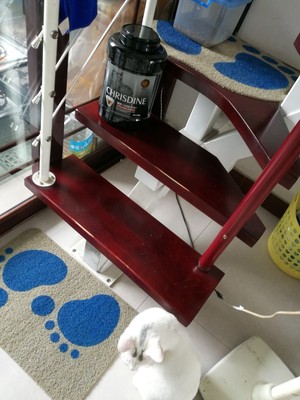 Chrisdine猫粮对比评价怎么样,看过才知Chrisdine猫粮怎么样,专家分析,