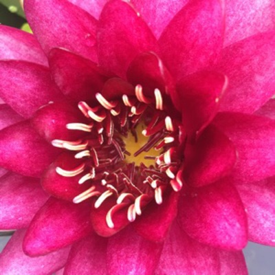 质量棒棒哒👍 质量棒棒哒👍 质量棒棒哒👍 质量棒棒哒👍 质量棒棒哒👍 质量棒棒哒👍 质量棒棒哒👍 质量棒棒哒👍 质量棒棒哒👍 质量棒棒哒👍 质量棒棒哒👍 质量棒棒哒👍 质量棒棒哒👍 质量棒棒哒👍 质量棒棒哒👍 质量棒棒哒👍 质量棒棒哒👍 质量棒棒哒👍 质量棒棒哒👍 质量棒棒哒👍 质量棒棒哒👍 质量棒棒哒👍 质量棒棒哒👍 质量棒棒哒👍 质量棒棒哒👍 质量棒棒哒👍 质量棒棒哒👍 质量棒棒哒👍 质量棒棒哒👍 质量棒棒哒👍 质量棒棒哒👍 质量棒棒哒👍 质量棒棒哒👍 质量棒棒哒👍 质量棒棒哒👍 质量棒棒哒👍 质量棒棒哒👍 质量棒棒哒👍 质量棒棒哒👍 质量棒棒哒👍 质量棒棒哒👍 质量棒棒哒👍 质量棒棒哒👍 质量棒棒哒👍