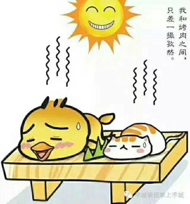 宝贝非常非常好，物超所值，价钱公道，最主要包装很好，晶莹剔透，每颗泡泡都很饱满。收到货后我捏了一半，剩下的一半收起来了，留着下一次再捏。每一颗泡泡都能发出清脆的响声，决无哑泡，这是一般的泡泡所不能媲美的。