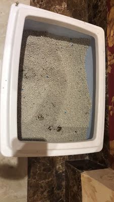 美滋元猫粮怎样,质量靠谱吗美滋元猫粮口碑好不好,调查分析,