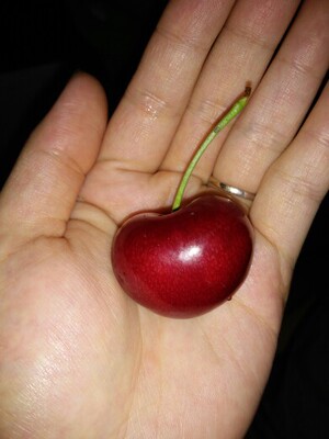 吐槽琳达妈咪待产包质量怎么样，透过五个月使用看真相