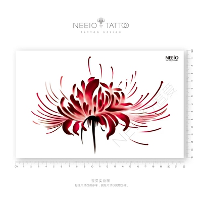 此用户没有填写评价。