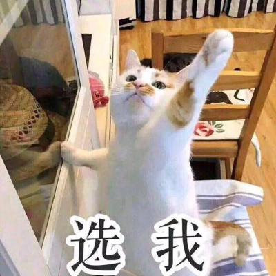 分析利仁空气炸锅质量怎么样，透过五个月使用看真相