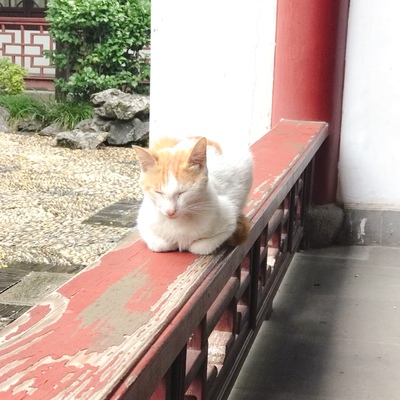 质量非常好，与卖家描述的完全一致，非常满意,真的很喜欢，完全超出期望值，发货速度非常快，包装非常仔细、严实，物流公司服务态度很好，运送速度很快，很满意的一次购物