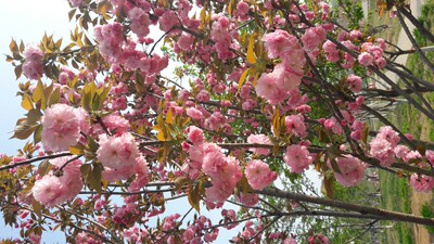 这个还凑合能穿，一下子买了三个，只有一个凑合能穿，都过水了只有都留下来了