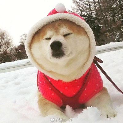 此用户没有填写评价。