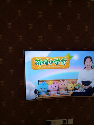 Haier/海尔 LQ55H31 55英寸4K超高清全面屏曲面智能LED电视50 60