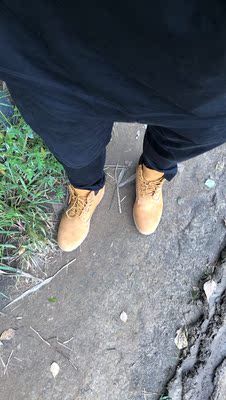 帅的一匹 帅的一匹