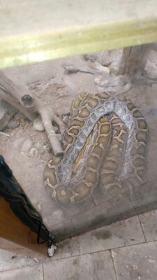 好好好一万个好好好好好好好好好好好好好好好好好好好好好好好好好好好好好好好好好好好好好好好好好好好好好好好好好好好好好好好好好好好好好好好好好好好好好好好好好好好好好好好好好好好好好好好好好好好好好好好好好好好好好好好。