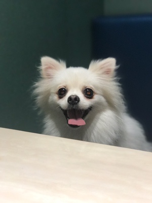 淘宝几年才知道原来评论85个字才会有积分。所以从今天到以后，这段话走到哪里就会复制到哪里。首先要保证质量啊，东西不赖啊。不然就用别的话来评论了。不知道这样子够不够85字。谢谢老板的认真检查。东西特别好，我不是刷评论的，我是觉得东西好我才买的，你会发现我每一家都是这么写的。因为复制一下就好了。