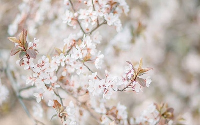 此用户没有填写评价。 此用户没有填写评价。