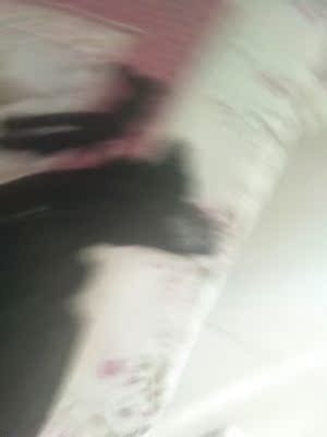 质量很好，款式也很漂亮，是自己想要的，穿上舒服，需要的美女赶紧下手，价位还便宜