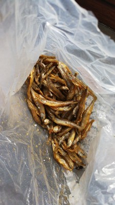 Source love猫粮怎样,质量靠谱吗Source love猫粮好不好,价格,