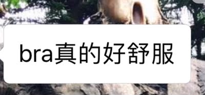 真的很舒服，给朋友安利了都说好