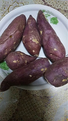 讨论九阳空气炸锅怎么样,曝光了是真假,通过三个月使用看真相