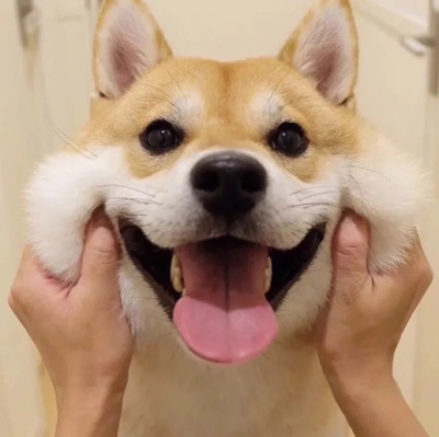 眼见我的淘气值就上涨了，以前在天猫上买东西，都是系统自动好评，没了溜了好多钱，后来才知道淘宝评论的积分可以涨淘气值时，才知道评论的重要性，所以，无论买什么东西，我都先把这段话复制粘贴下来，然后在宝贝评论，没错！评论80字以上就可以获得50个积分。