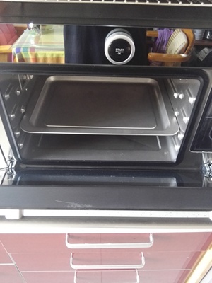 如何评价买了意大利DAOGRS G5蒸烤箱怎么样,真的不后悔吗,是否值得入手