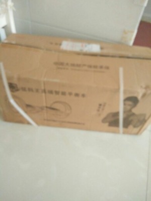 猛犸王10寸两轮电动扭扭车成人智能漂移思维代步车儿童双轮平衡车