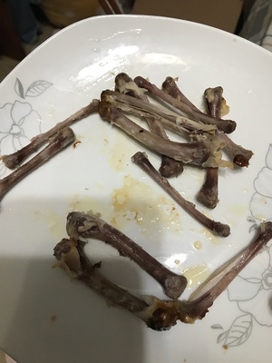 【揭秘】阿诗顿空气炸锅怎么样,三个月使用彻底后悔了,内幕曝光