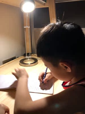 体验paulmann柏曼灯具怎么样,真的好用?paulmann是假洋鬼子品牌