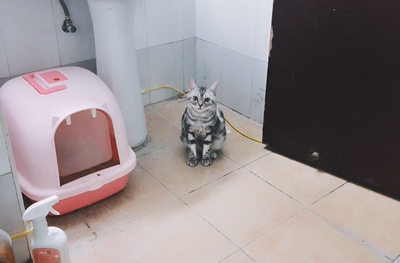 好看  好评 无限好评  回购多次 太快了就了考虑考虑就就了了了饿⊙&forall;⊙！得吗他了⊙&forall;⊙！了就咯喔:-O到了吗km饿饿了家里来的饿林俊杰饿得阿里好考虑哦⊙&forall;⊙！得啊姐姐她🙅🏻磨饿的把就姐姐姐姐你呃罚啊寄个来吧德⊙&forall;⊙！我选吐钱好看阿册呃哪里克家里来加了