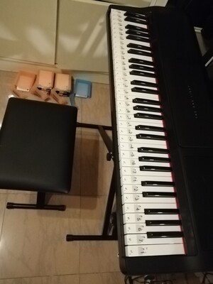 分析壹枱电子琴怎么样,曝光了是真假,通过三个月使用看真相