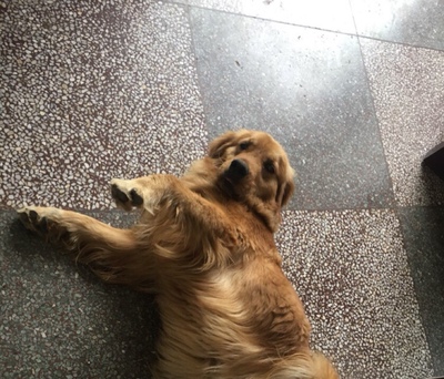 很好穿,稍微有点扎,反正还行吧,好评么么哒么么哒么么哒么么哒 很好穿,稍微有点扎,反正还行吧,好评么么哒么么哒么么哒么么哒