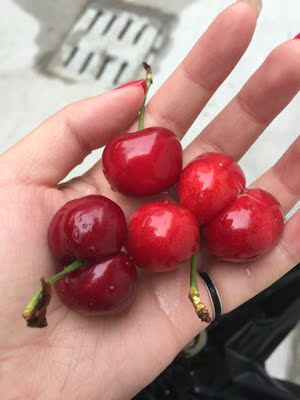 很好很好 好看好看 买了两条 很舒服 一百婚！