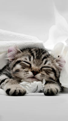 爱贝礼腰凳怎样,价格,爱贝礼腰凳怎么样,爱贝礼质量如何,值得入手吗