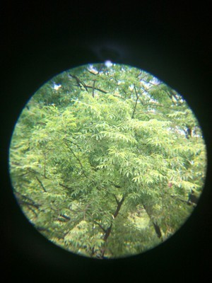 吐槽博视乐望远镜怎么样,天文望远镜能看多远?是哪里产的?