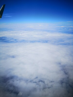 却于此时乐声消弭了下来，慧安眼见台上的歌舞停下，舞女向贤康帝行礼欲退，手中酒杯突然一个没拿稳，直直向下砸去，正落在一个盛放新鲜葡萄的铜盘上，竟是将那铜盘震的咣当一声响，打翻开来落到了地上，葡萄滚落了一桌。  而这边的动静当即便引起了贤康帝等人的注意，慧安忙面带惊慌地跪下来，诚惶诚恐地道：&ldquo;臣妇御前失仪，望陛下恕罪。&rdquo;