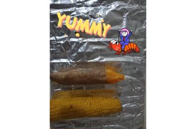 揭秘最新爆料北美电器 ATO