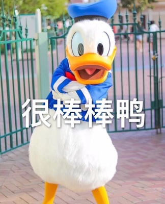 解读华帝ZKMB-28GG03怎么样,华帝ZKMB-28GG03质量好不好呢,做出东西好吗